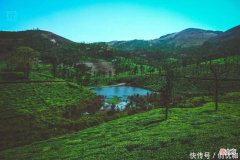 【十二星座】9月初，喜鹊欢叫，好运天降，将添喜添财，好事成双的3个生肖