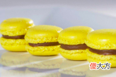 Lemon Zest 11月16日生日巧克力-怡神柠檬