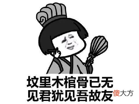 【游戏迷】任天堂良心手游运营8年,国服没开就要停运了,玩家求复活成单机