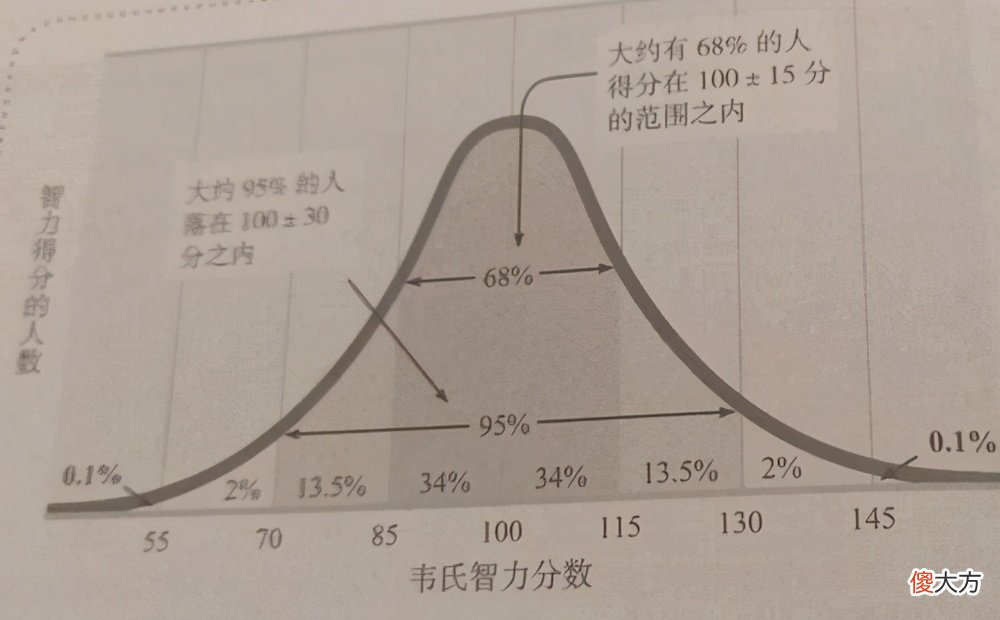 孩子智商靠遗传？美国研究：高智商儿童有3项共同点，跟遗传无关