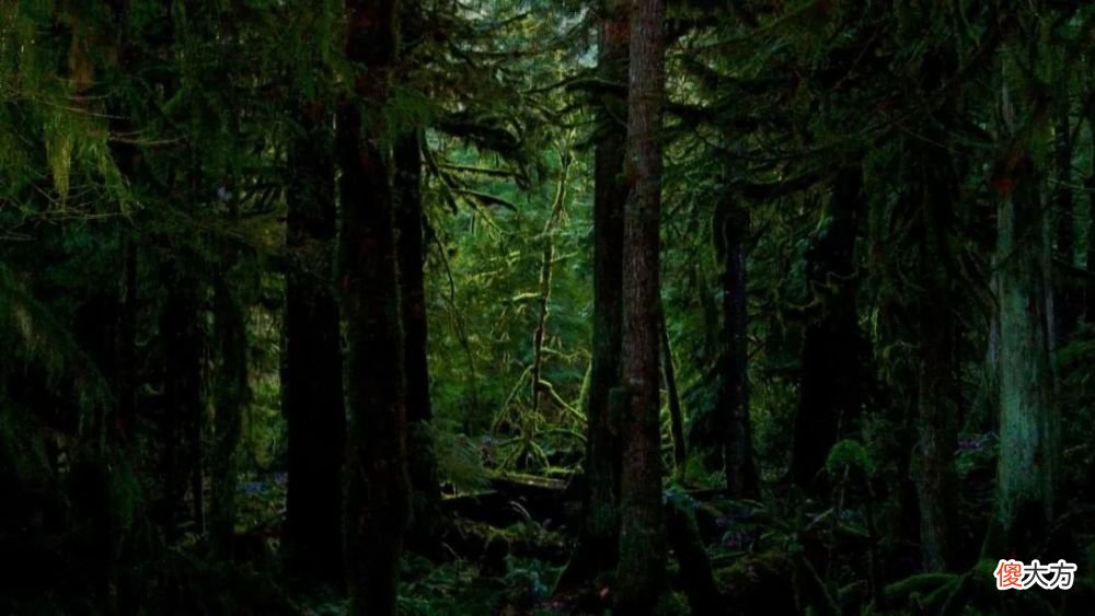 【时尚一点】真香推荐：撞味概率几乎为0的几款小众男香