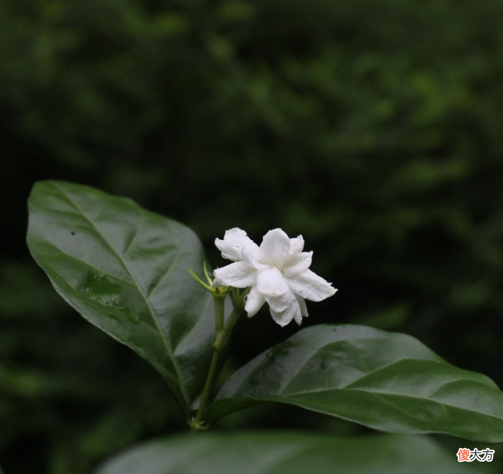 【时尚一点】真香推荐：撞味概率几乎为0的几款小众男香