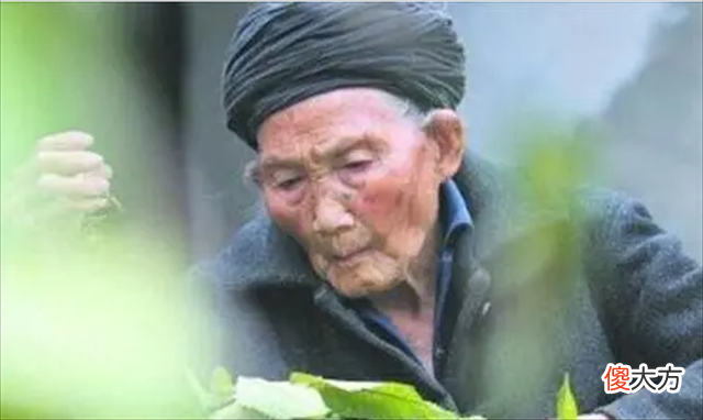 【爱历史】龚来发：他被称为中国长寿之王，一生未婚，寿至133岁