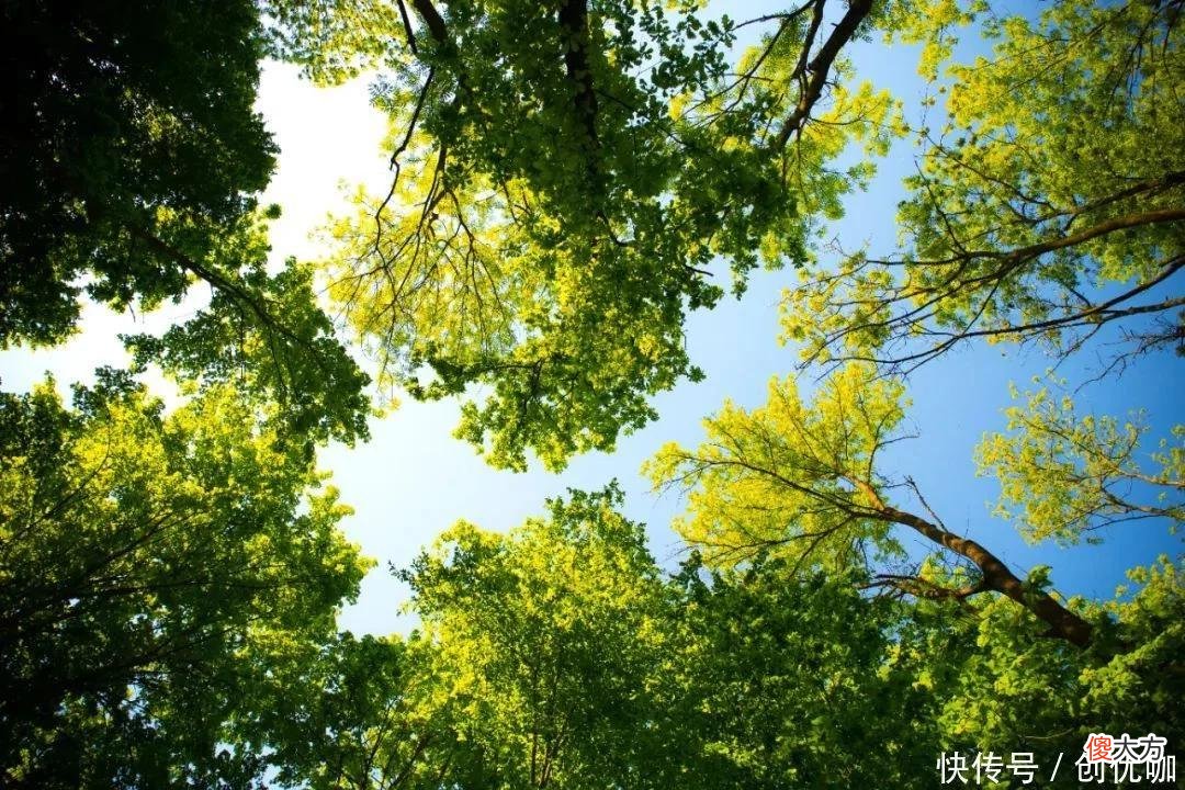 【十二星座】2022下半年，好运爆棚，贵人撑腰，有望成为人生大赢家的3个生肖