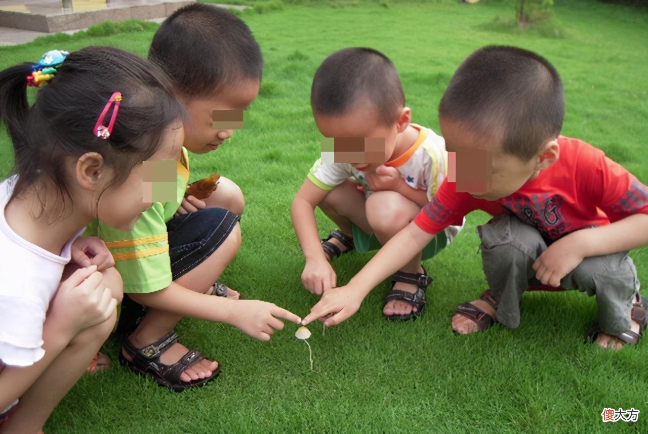 孩子写作文语言苍白?家长注意这三个点,轻松提高他的观察能力