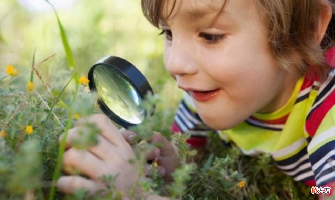 孩子写作文语言苍白?家长注意这三个点,轻松提高他的观察能力