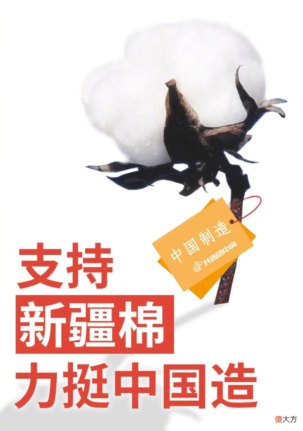 【爱历史】棉花是一种重要的经济作物，说一说我国古代种植利用棉花的历史