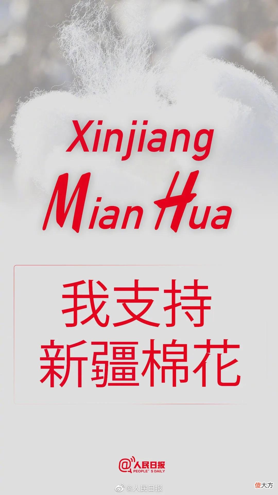 【爱历史】棉花是一种重要的经济作物，说一说我国古代种植利用棉花的历史