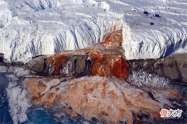 南极发现大量“血雪”，霍金预言或要成真，人类未来该怎么办？