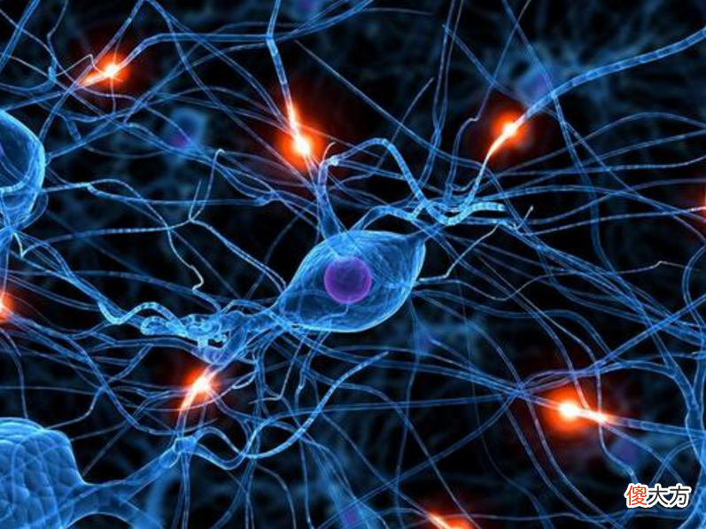 6岁前“逼”孩子锻炼这3种能力，孩子记忆力更强，大脑更聪明