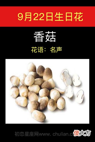 9月22日生日花-香菇