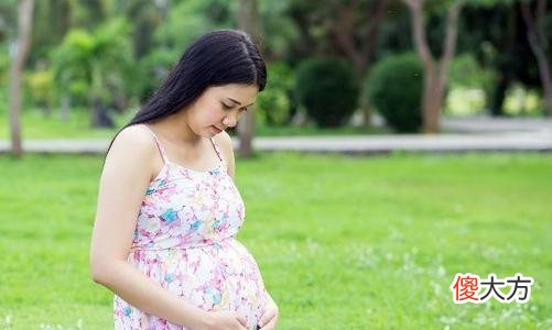 孕妇漂亮怀女孩，相貌平平怀男孩？到底哪些因素决定了胎儿性别