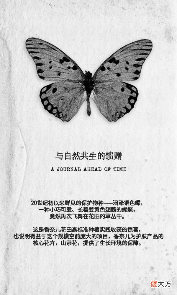 【就爱时尚】植蕴智慧的灵感手帐：先见未来之美