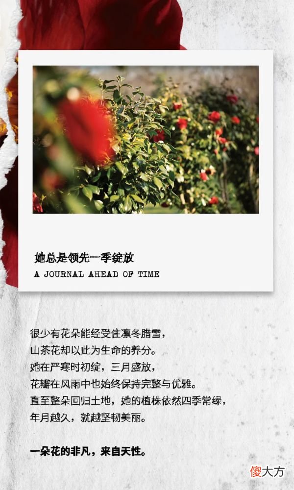 【就爱时尚】植蕴智慧的灵感手帐：先见未来之美