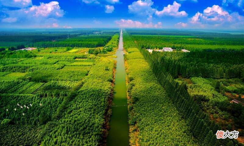 【爱历史】“唯有青春多壮志 敢叫荒滩变绿洲”青年运动史教育,来看看吧