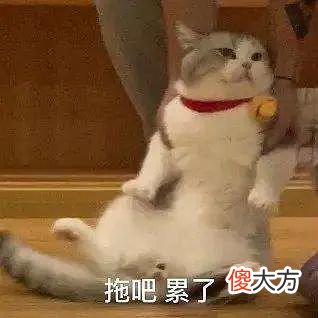 【时尚一点】让熬夜肌嫩到发光的黄金CP,都在这一管儿里了!