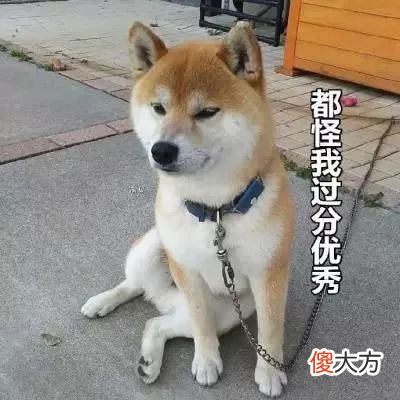 【时尚一点】让熬夜肌嫩到发光的黄金CP,都在这一管儿里了!