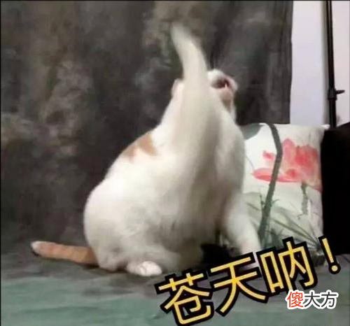 【时尚一点】让熬夜肌嫩到发光的黄金CP,都在这一管儿里了!