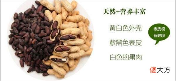 新手妈咪首孕期间,食物禁与宜,勿快乐自己的口却伤害宝宝的健康