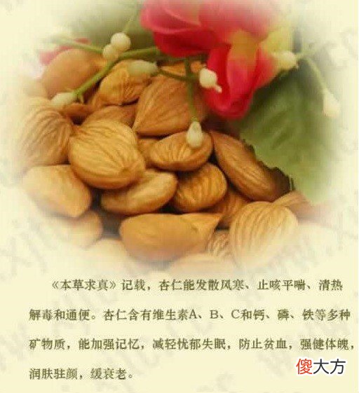新手妈咪首孕期间,食物禁与宜,勿快乐自己的口却伤害宝宝的健康