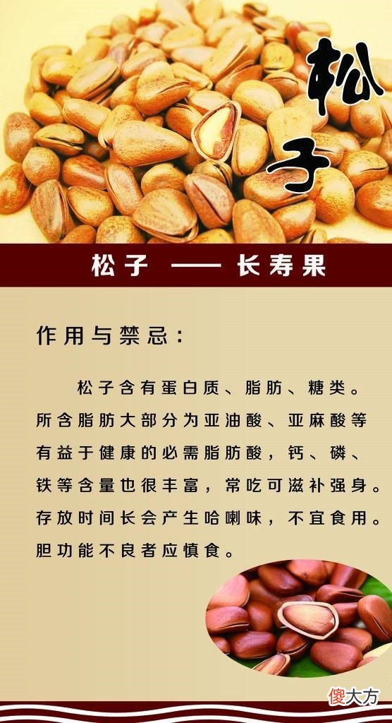 新手妈咪首孕期间,食物禁与宜,勿快乐自己的口却伤害宝宝的健康