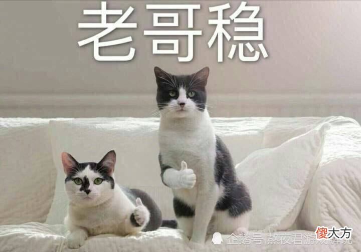 【游戏迷】对面秒选李白怎么办?不用橘子,放弃镜,用他完美克制