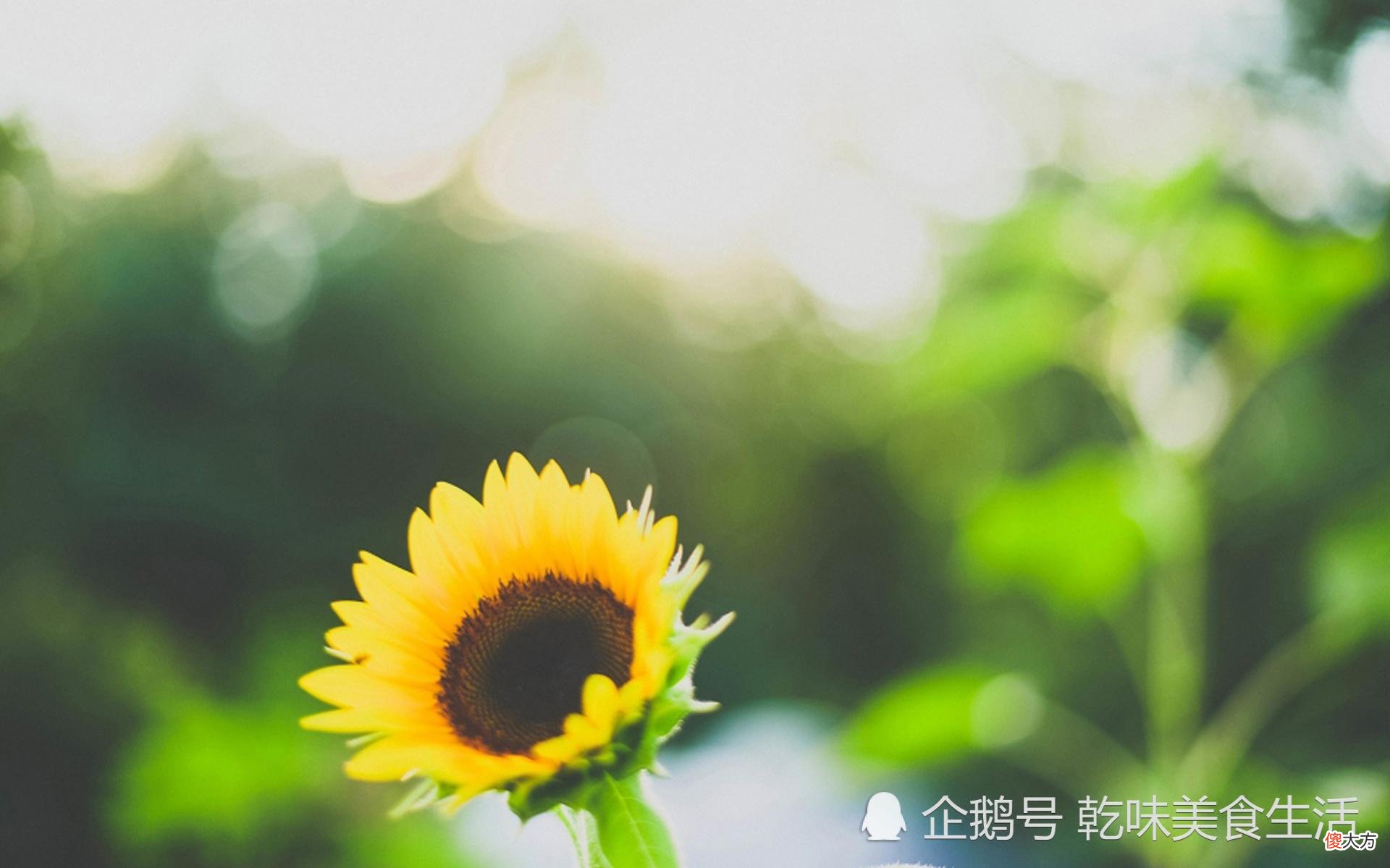 鬼谷子十六:关键时刻怎样做出正确决定,请学会这三招