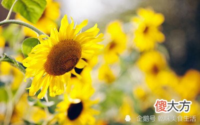 鬼谷子十六:关键时刻怎样做出正确决定,请学会这三招