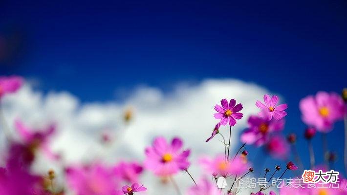 鬼谷子十六:关键时刻怎样做出正确决定,请学会这三招