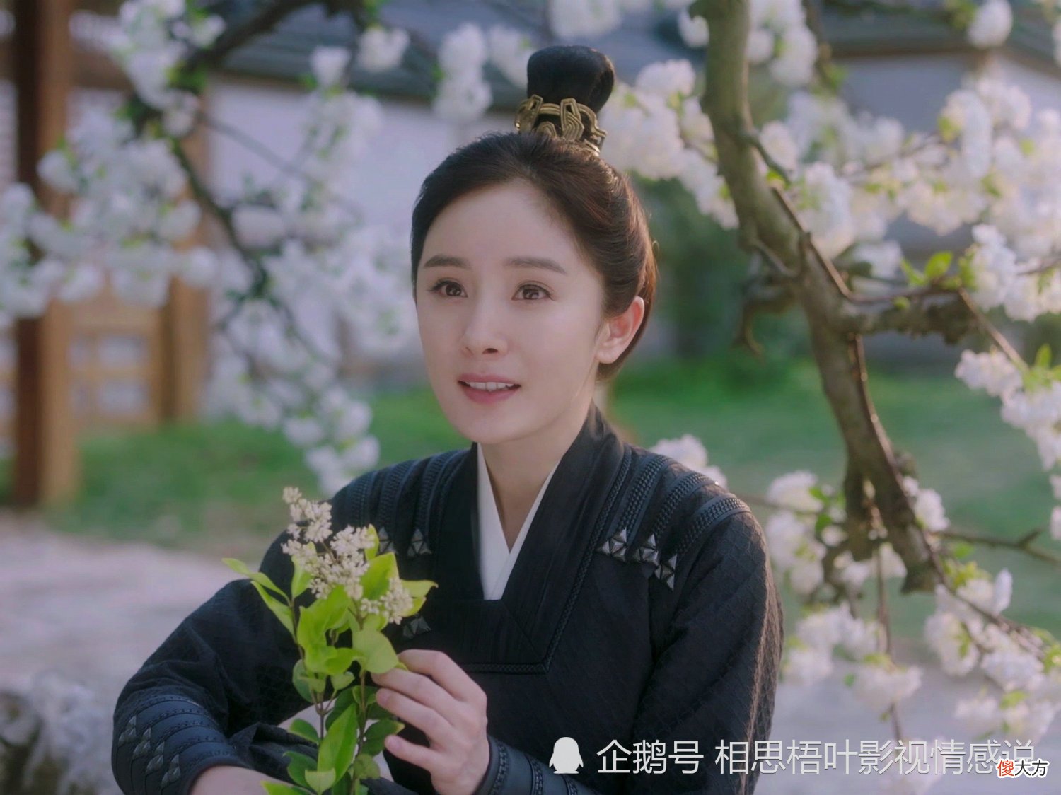 【爱历史】《斛珠夫人》开局：机缘巧合，情缘纠葛，深情总被命运阻