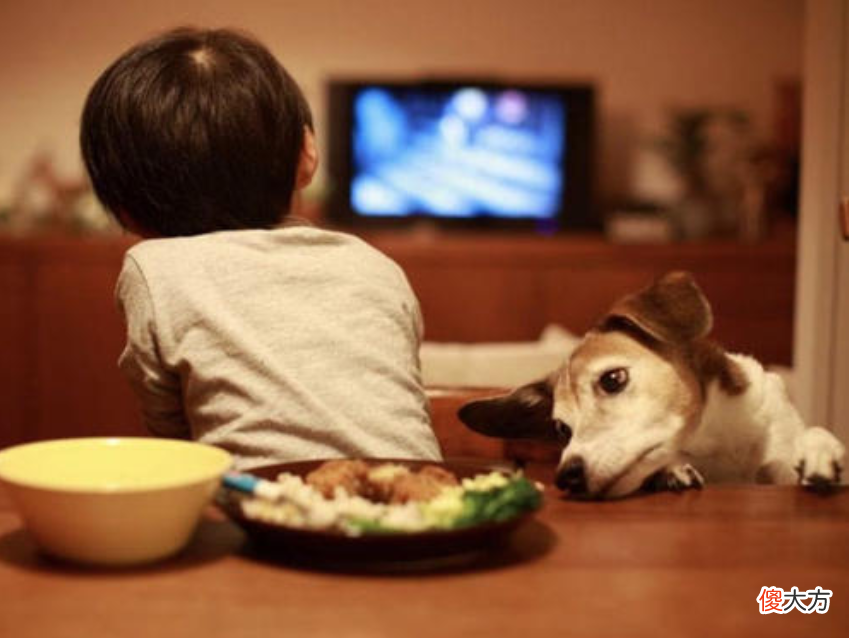 孩子3岁前看不看电视有什么影响？神经科学家：7岁后有明显差异