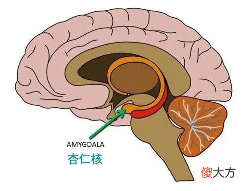 孩子大闹情绪，你抓狂崩溃时别再默念“亲生的”，这俩法子更管用