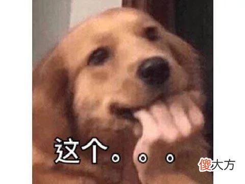 【游戏迷】原神又搞新联动？玩家为防止活动翻车，开始教商家如何策划活动