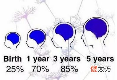 5岁前“逼”娃养成这3个习惯，不仅记忆力会更好，头脑也会更灵活