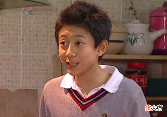 多年后再细品《家有儿女》，有时很羡慕小雪，但大部分人都是刘星