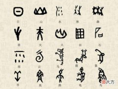 【历史故事】从外引进的葡萄、香菜，对应汉字有意而无形，那苹果是中国的吗？