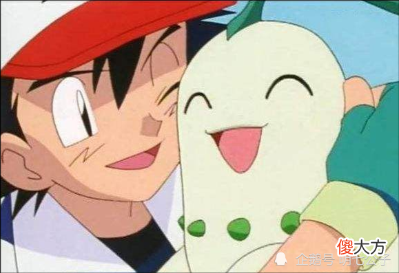 【游戏世界】解析小智的草系神奇宝贝，妙蛙种子榜上有名，最强的一只打赢过神兽！