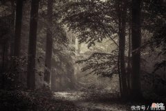 【星座控】2022下半年，运势如虹，事业突飞猛进，睡梦中都能笑醒的3个生肖
