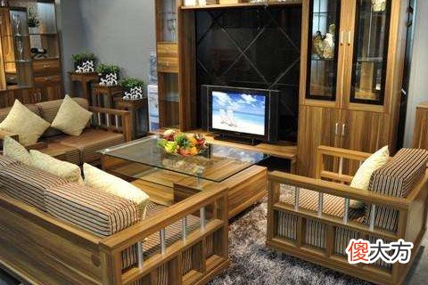 招财树风水作用是什么