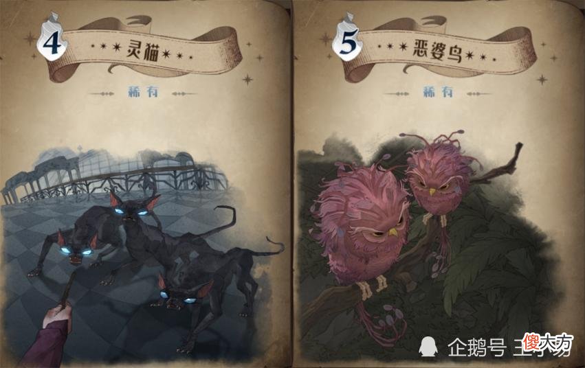 【游戏世界】哈利波特：贝拉游走球无限骚扰流，用这个5000分没问题！