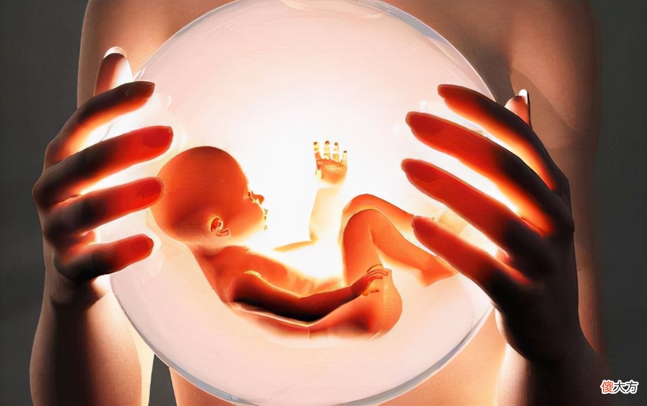 不要弟弟妹妹？独生子女家庭数量增加，逐渐培养出大量利己主义者