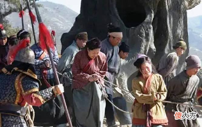 【历史故事】这场持续了半个世纪的大槐树移民，到底移走了多少呢