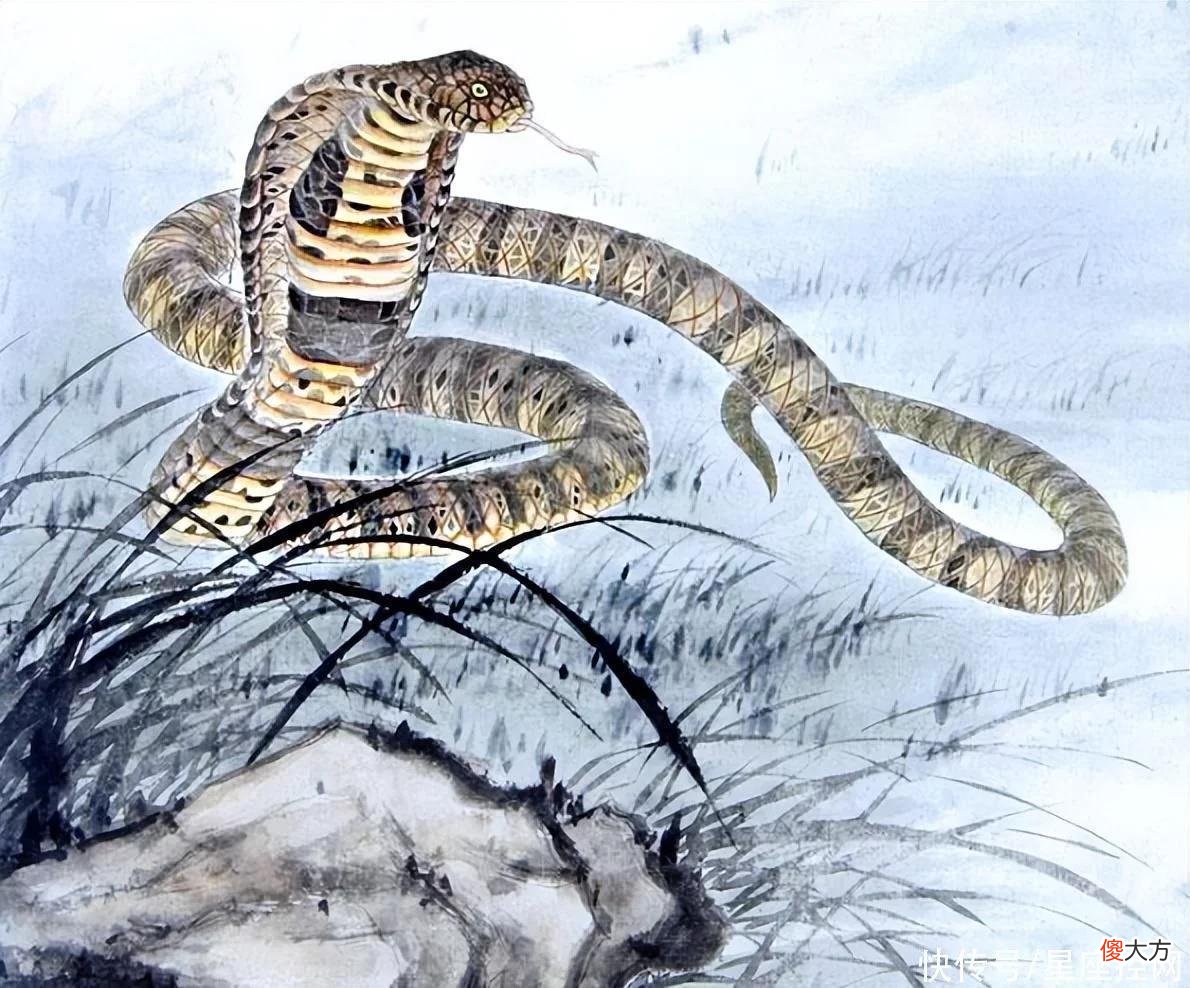 【十二星座】人生不会暗淡无光的生肖，人到中年也绽放，发家致富无压力