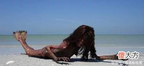 渔民捕鱼发现美人鱼，全村围观，老人一眼就认出了他