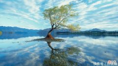 【星座控】2022下半年，运势柳暗花明，3大生肖有望美梦成真，不缺钱不发愁