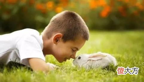 法国心理学家发现：孩子若具备这3个特征，长大可能是个“天才”