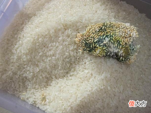 一家人确诊胃癌，桌上常见一道菜，8岁的孩子也没能幸免