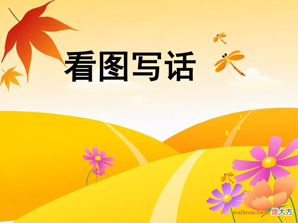 常考的看图写话,《上学路上》、《小猪吃香蕉》和《爱护小树苗》