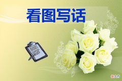 常考的看图写话，《上学路上》、《小猪吃香蕉》和《爱护小树苗》