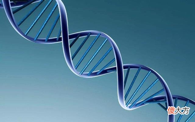 孩子出生后，会遗传父母的哪些基因？最后一个，很多人避之不及